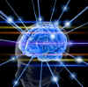 cerebro-centro.jpg (51305 bytes)
